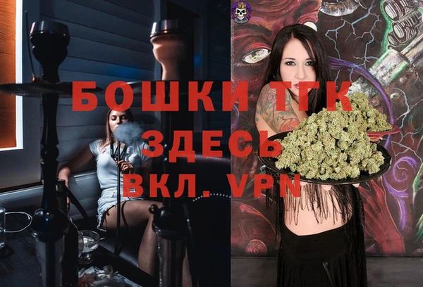 экстази Гусев