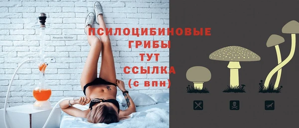 герыч Гусь-Хрустальный
