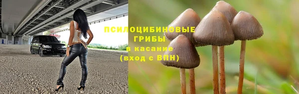 бутират Дмитриев
