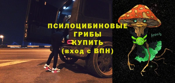 экстази Гусев