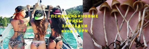 эйфоретик Гусиноозёрск