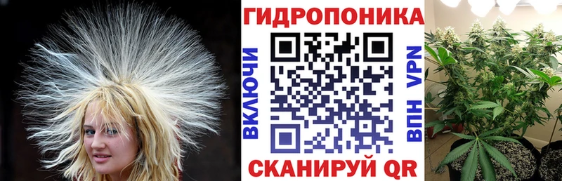 Купить закладки  Донецк  Марихуана Amnesia 